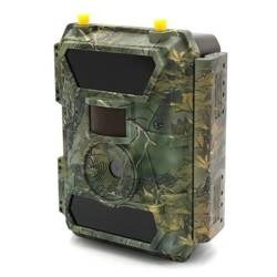 Fotopułapka kamera leśna SF4.0 CG Pro 100°